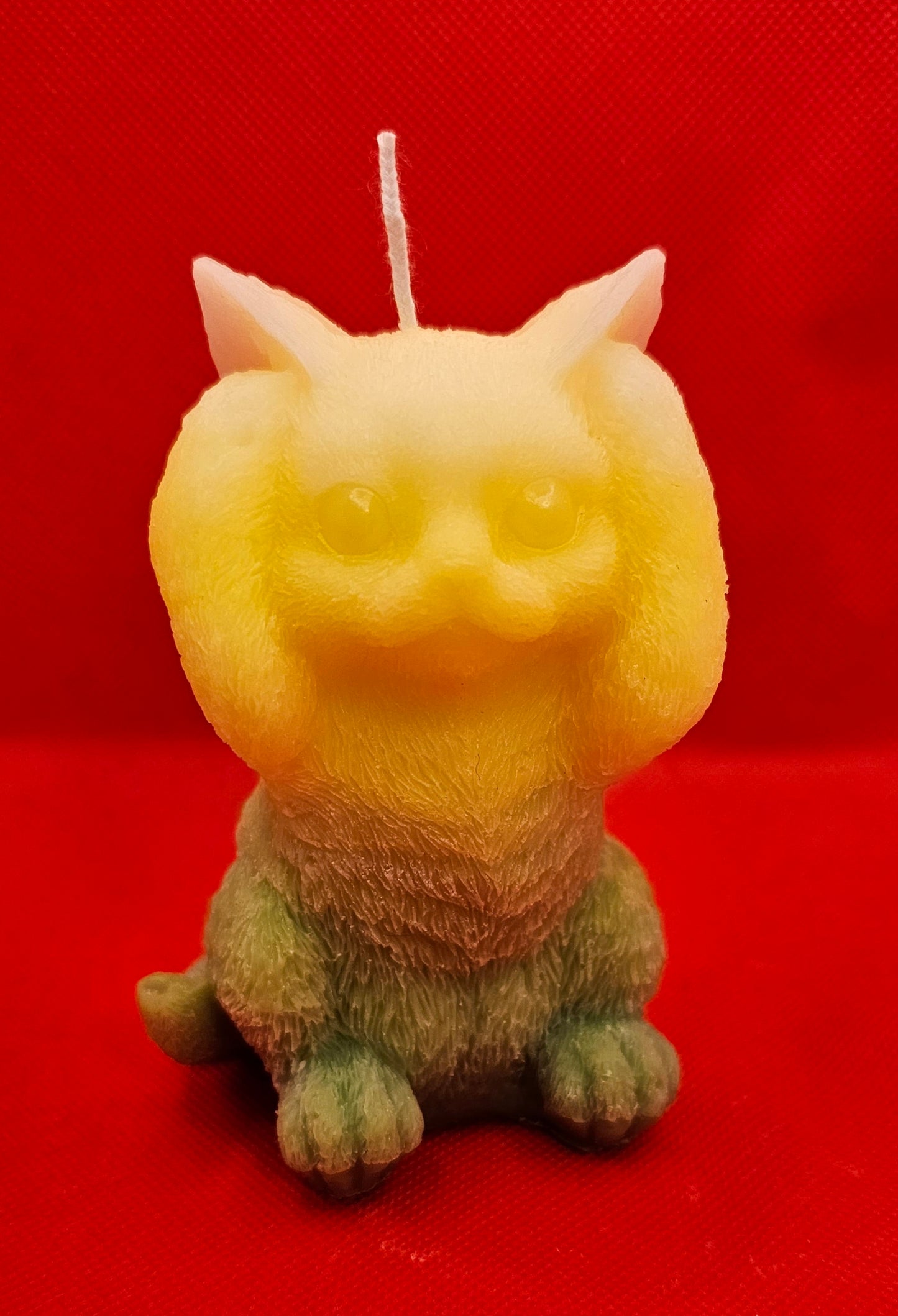 Katze nichts hören Gelb-grün