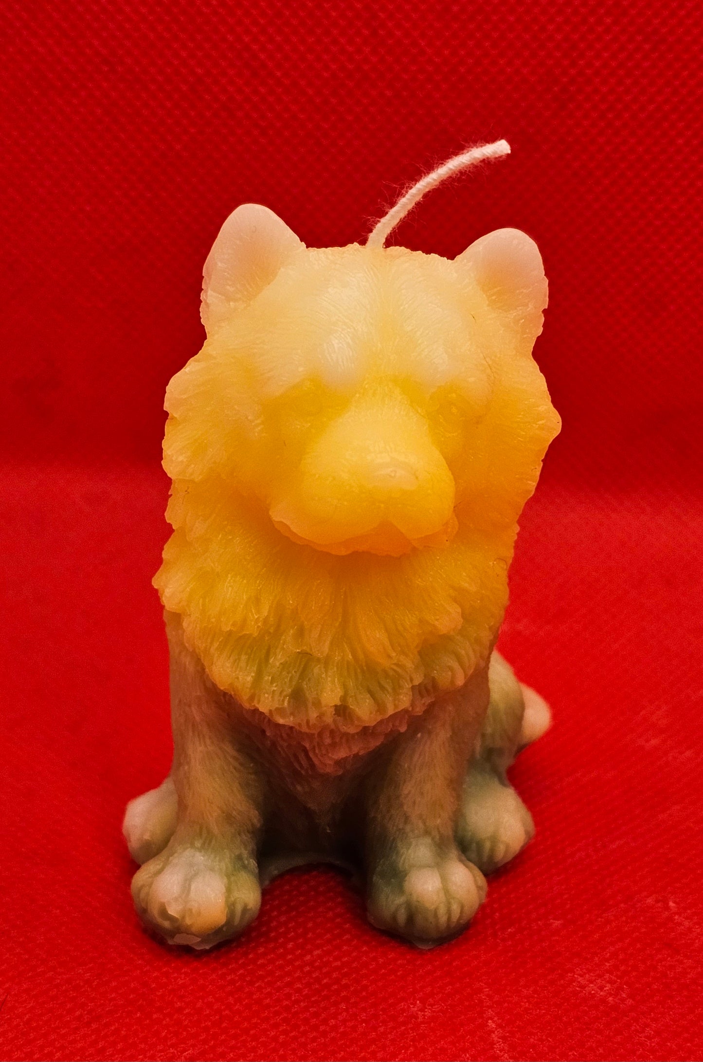 Hund mit Mähne Gelb-grün