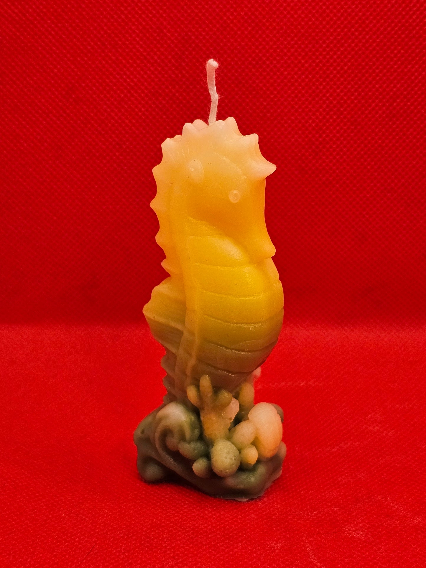 Seepferdchen Gelb-grün