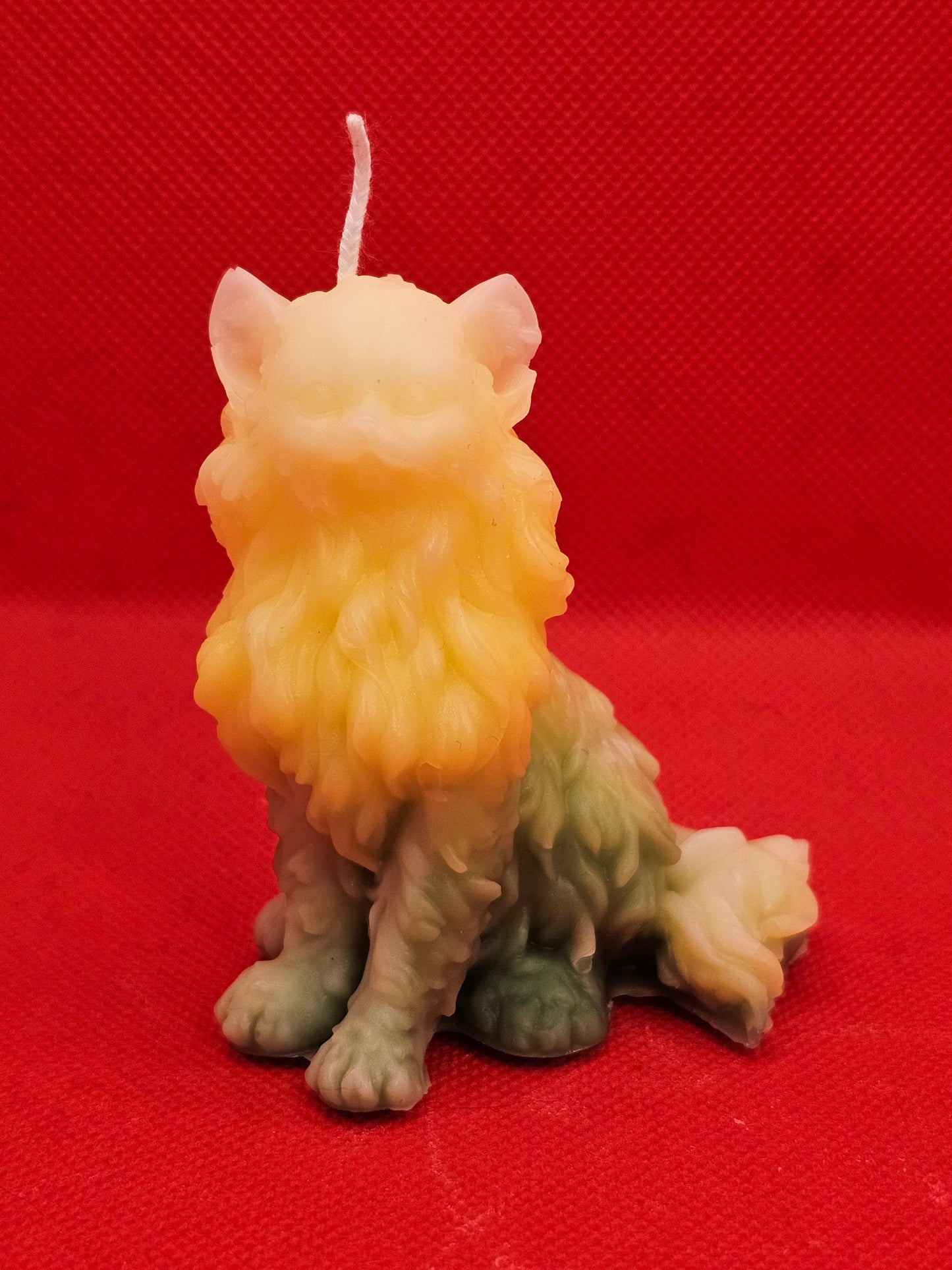 Langhaar Katze Gelb-grün