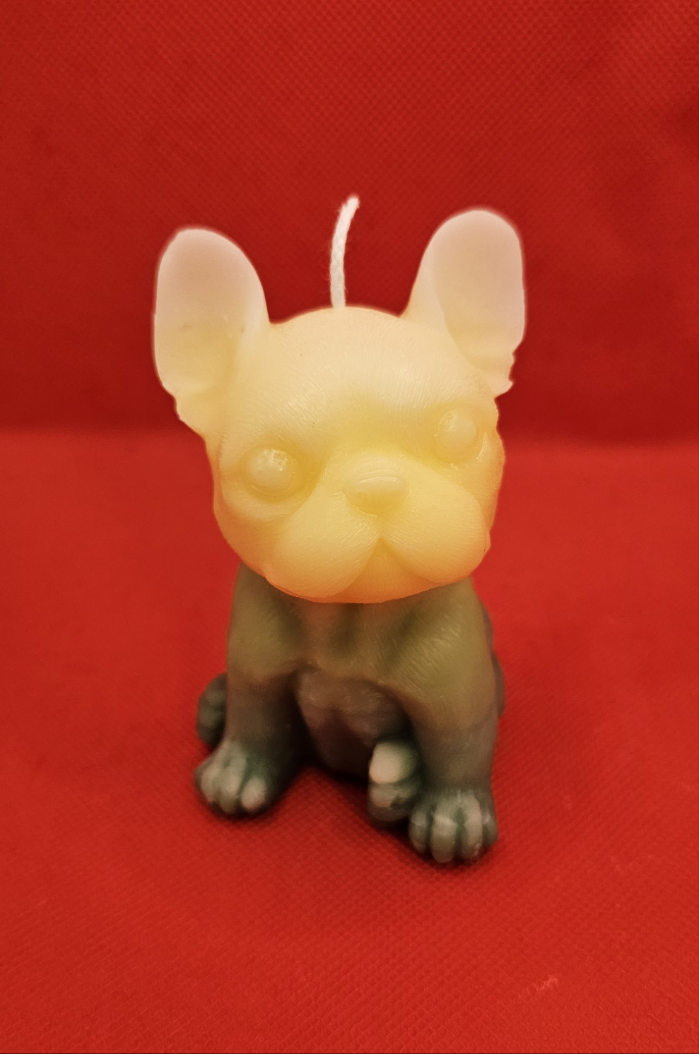 Kleine Dogge Gelb-grün