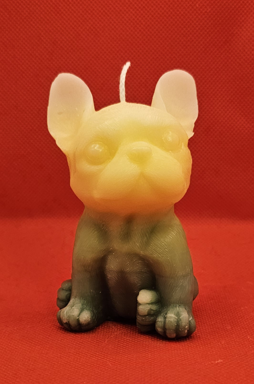 Kleine Dogge Gelb-grün