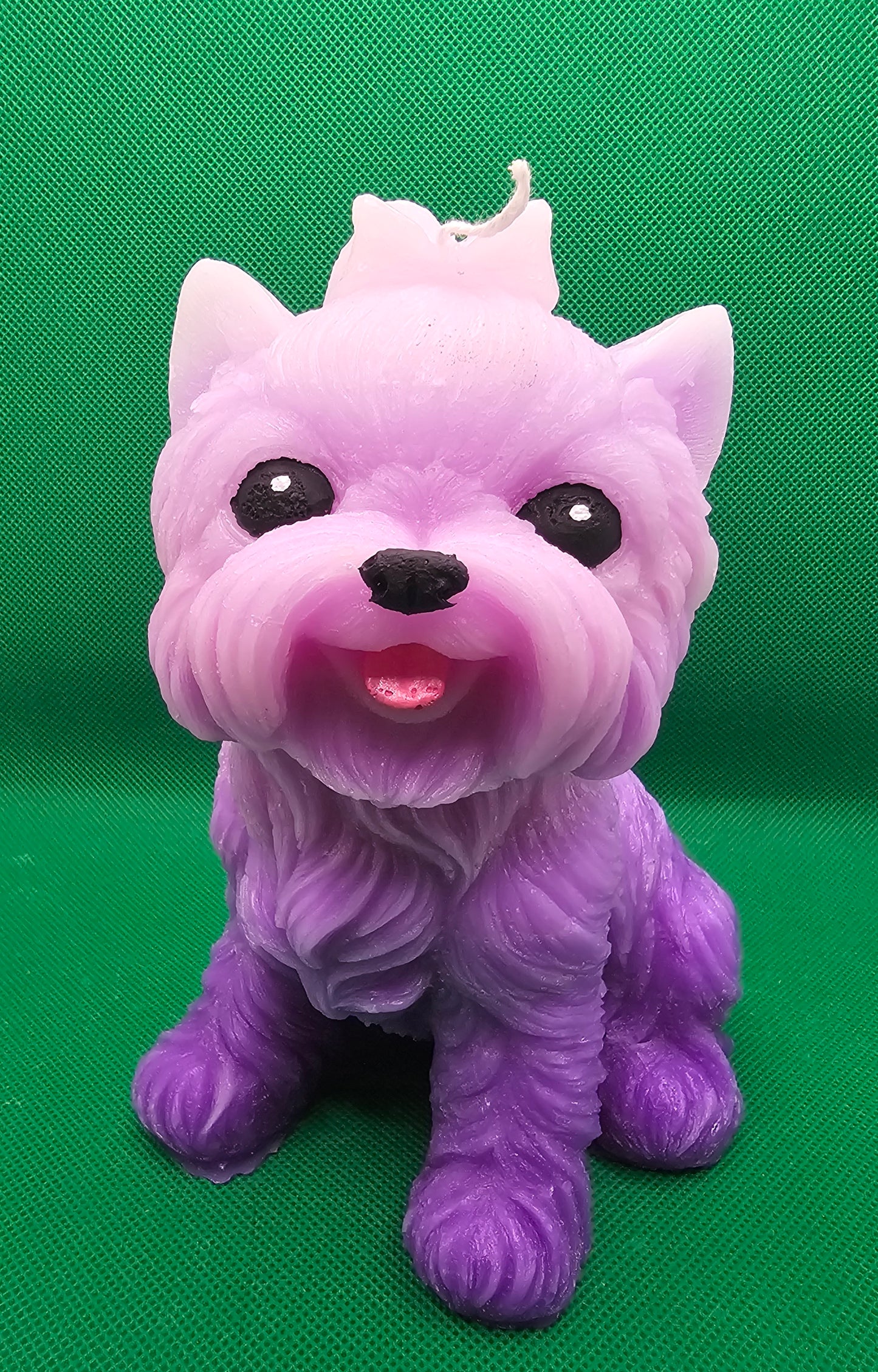 Yorkshire Terrier rosa-violett gross