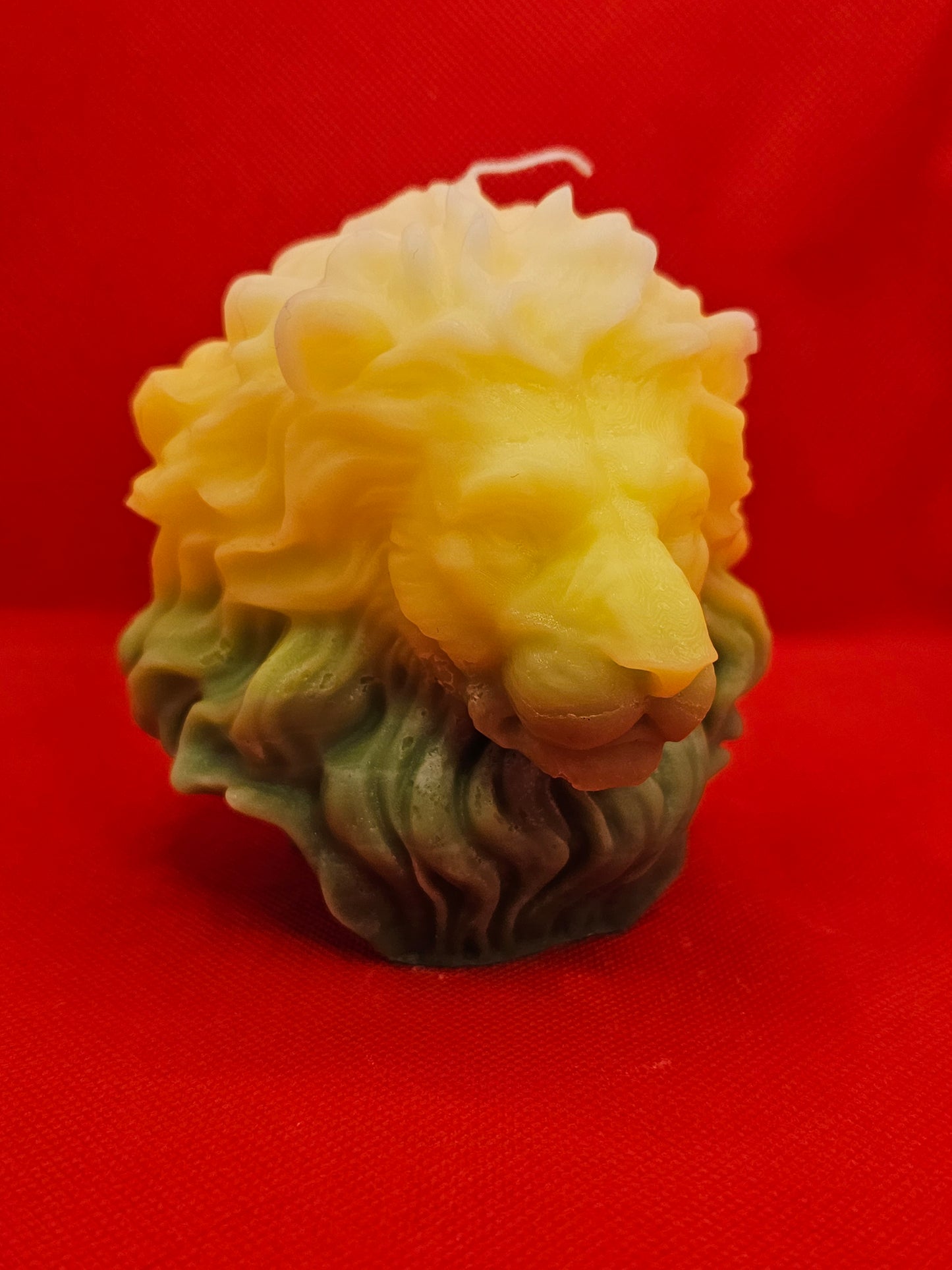 Löwenkopf Gelb-grün