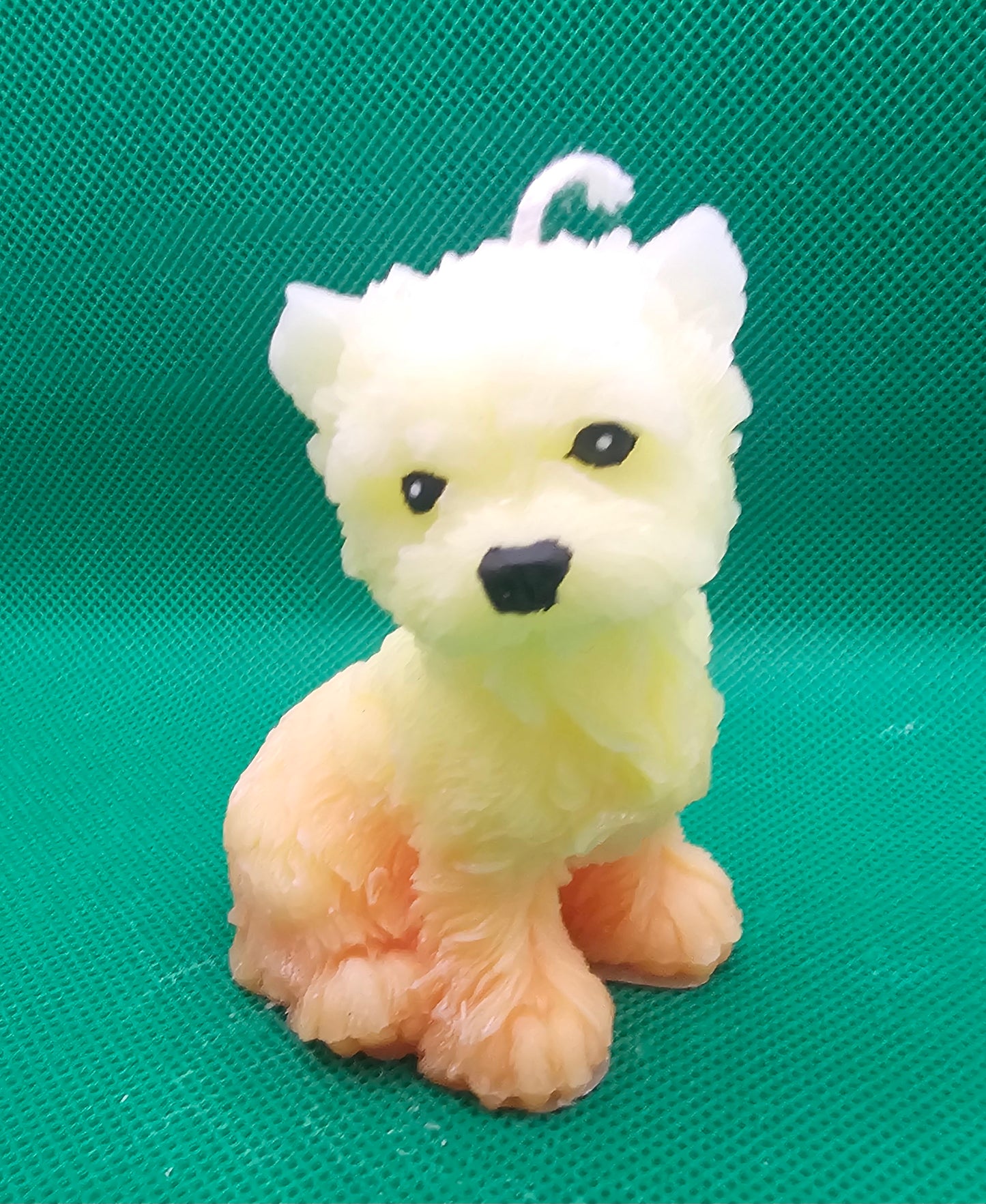 West Highland Terrier gelb-orange klein