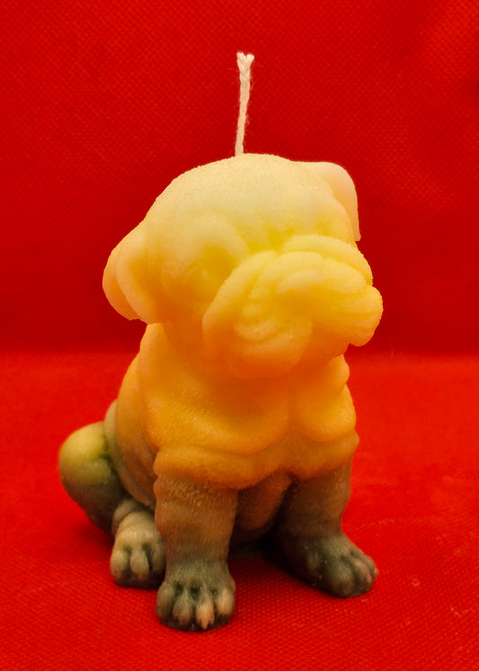 Hund Gelb-grün