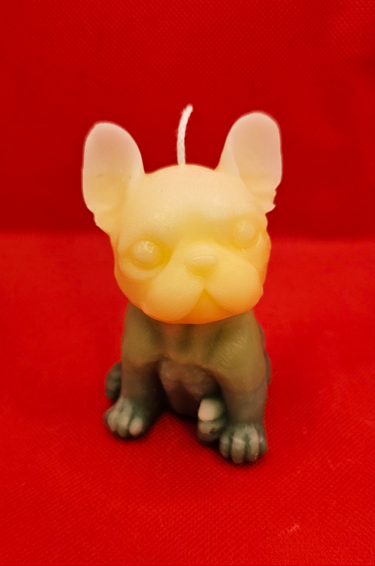 Kleine Dogge Gelb-grün