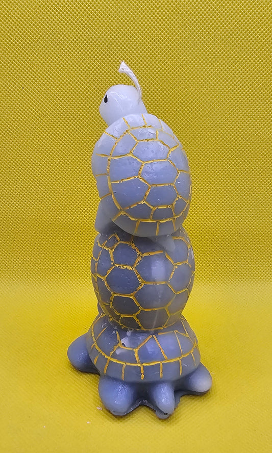 Schildkröten Quartett  blau