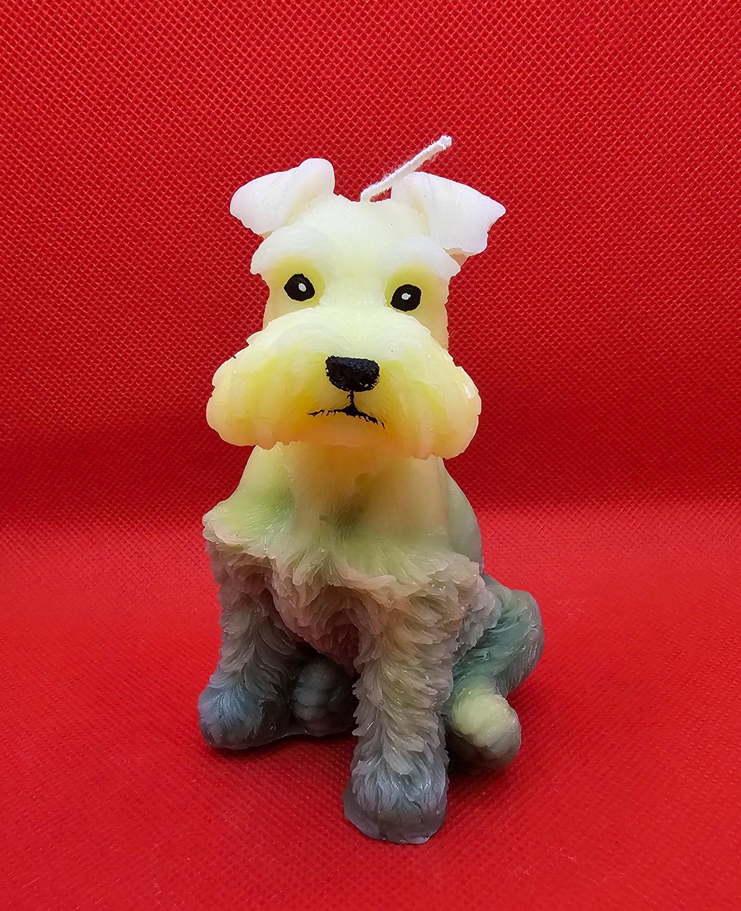 Schnauzer gelb-grün