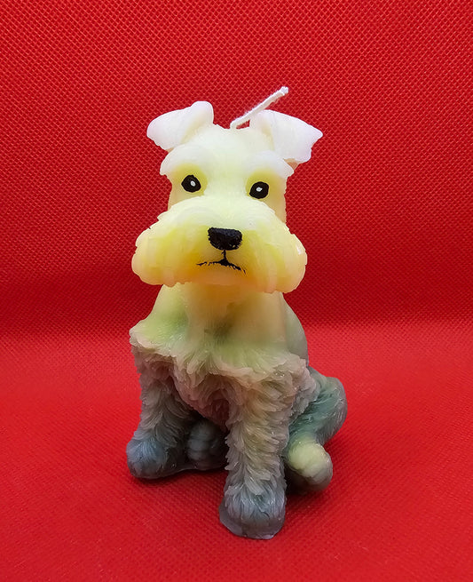 Schnauzer gelb-grün