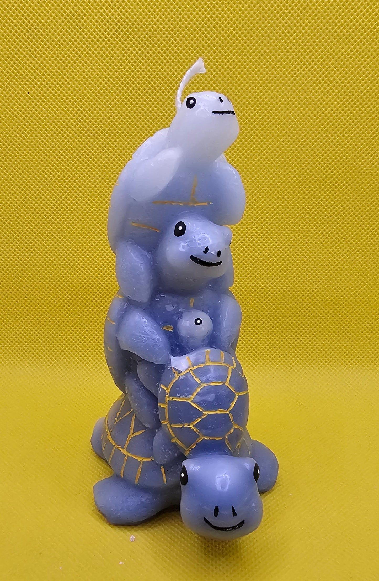 Schildkröten Quartett  blau