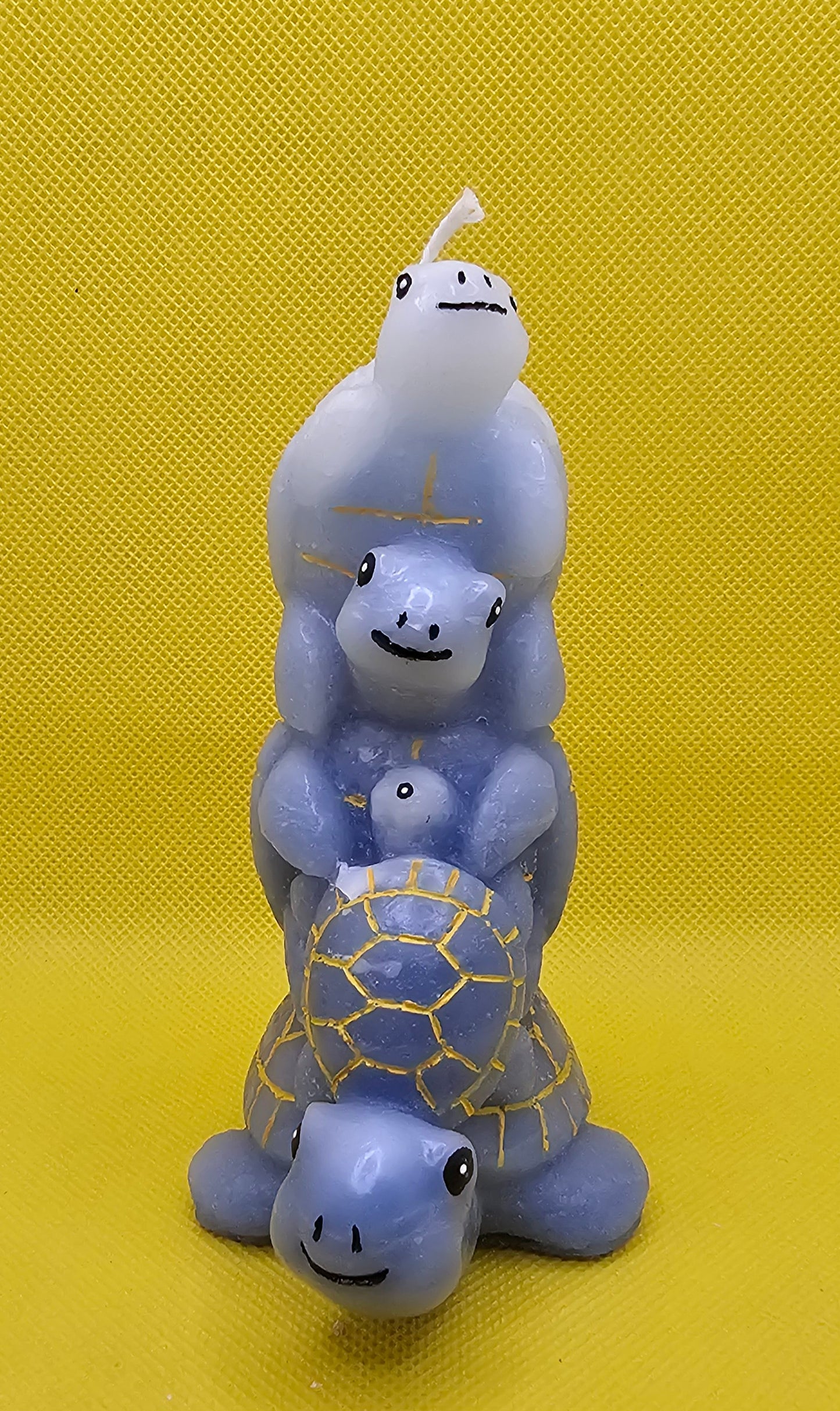 Schildkröten Quartett  blau