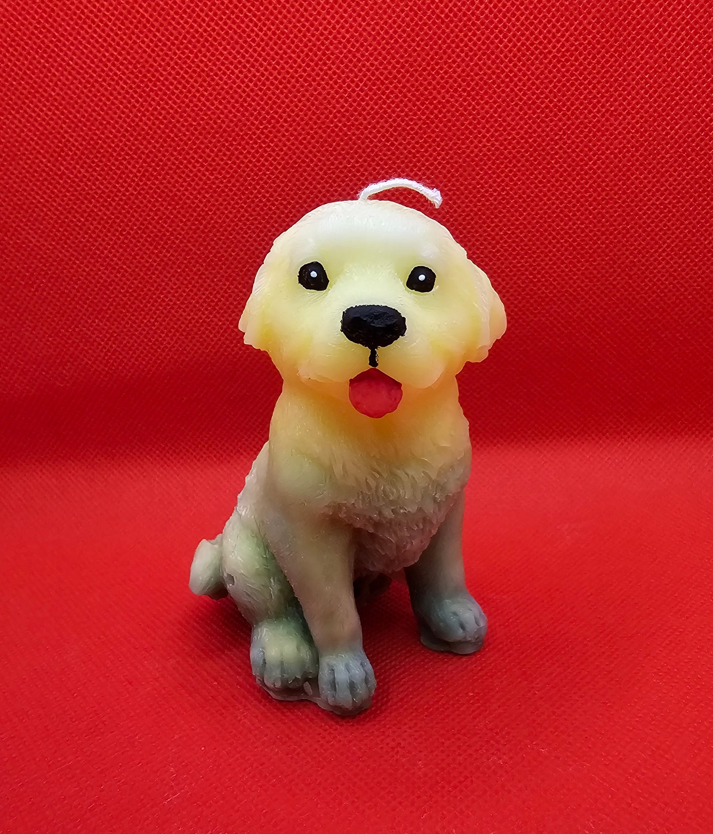 Labrador gelb-grün