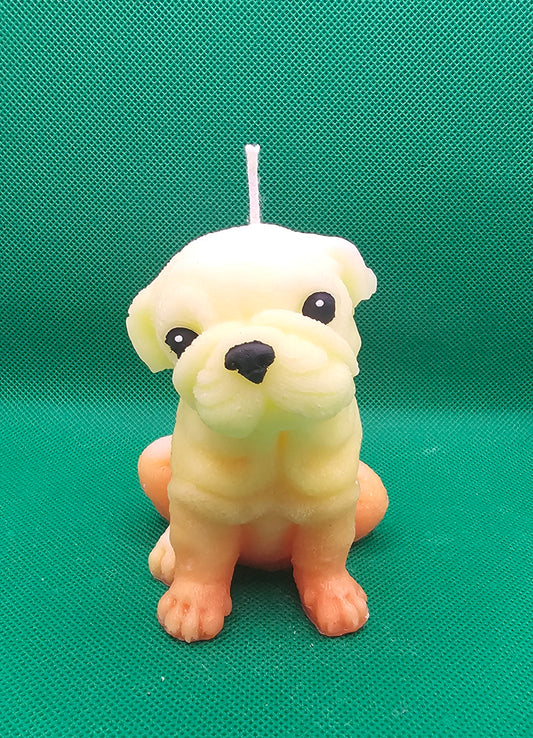 Kleine Dogge gelb-orange sitzend