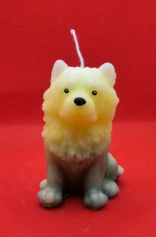 Hund Chow Chow gelb-grün