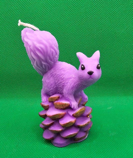 Eichhörnchen auf Tannenzapfen violett