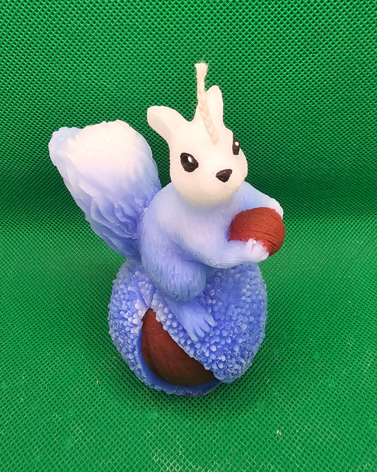 Eichhörnchen auf kastanie blau